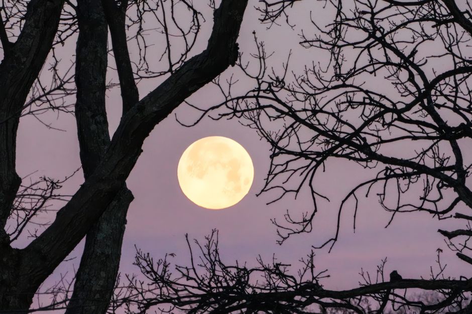 Monday’s Full Moon Fire: Truths Come Forward
